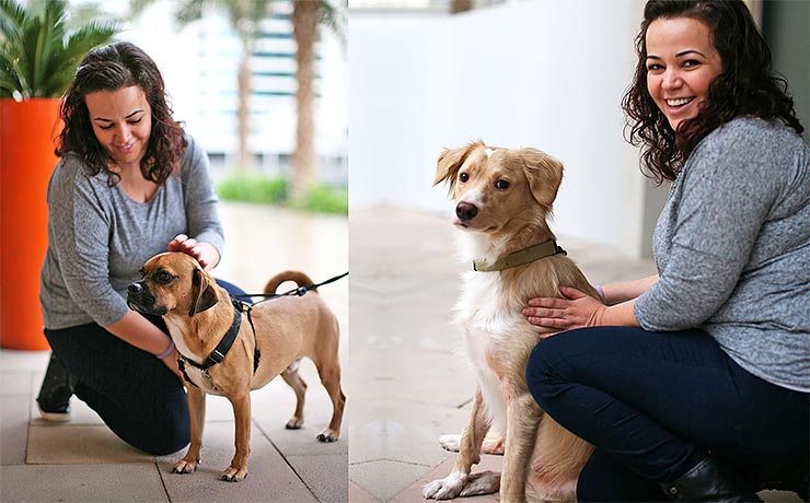 From phobia to best of friends